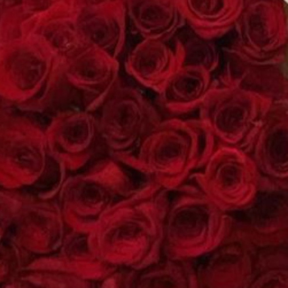 Meet your Posher, Luiza